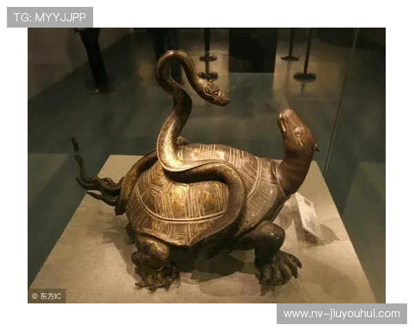 玄武是谁足球的象征意义及其在体育文化中的独特地位解析